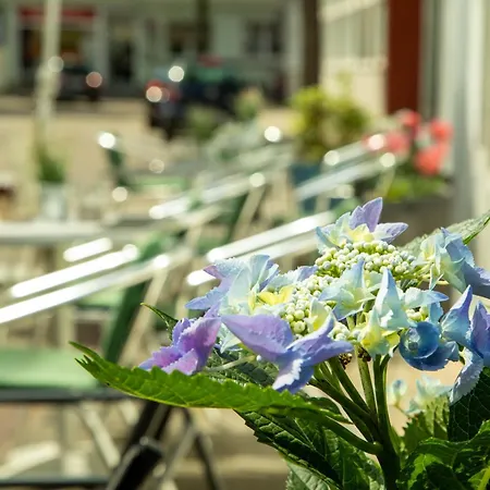 Ξενοδοχείο Hogh 3*