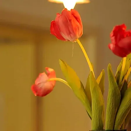 Hogh Hotel 3*